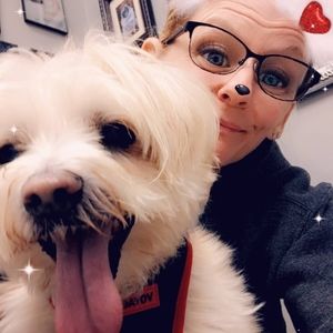 Meet your Posher, Dawn